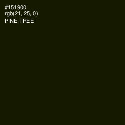 #151900 - Pine Tree Color Image